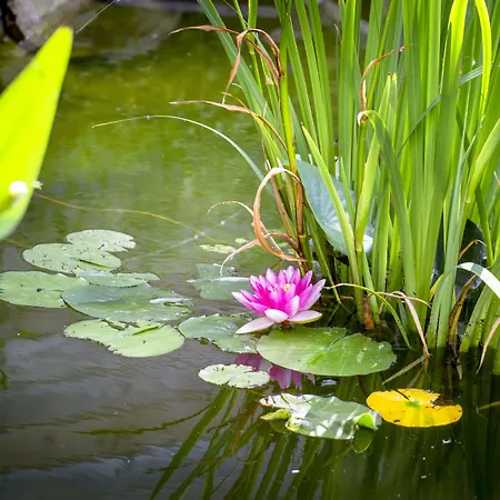 De La Pommeraie Hotell