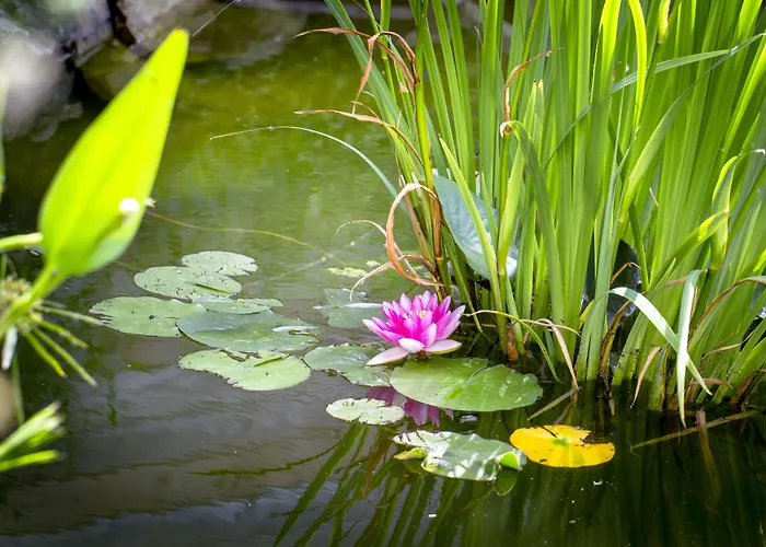 De La Pommeraie Hotel